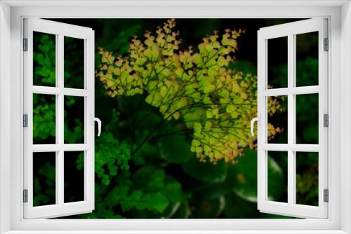 Fototapeta Naklejka Na Ścianę Okno 3D - Fresh green leaves