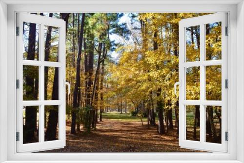 Fototapeta Naklejka Na Ścianę Okno 3D - yellow foliage in autumn
