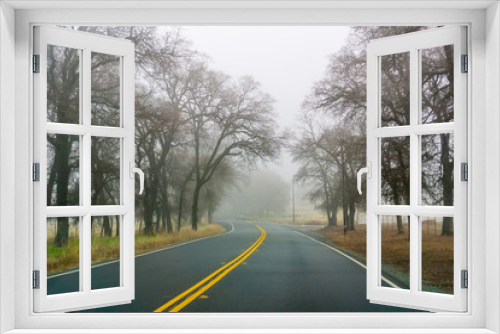 Fototapeta Naklejka Na Ścianę Okno 3D - Driving on a day with heavy fog and low visibility, California