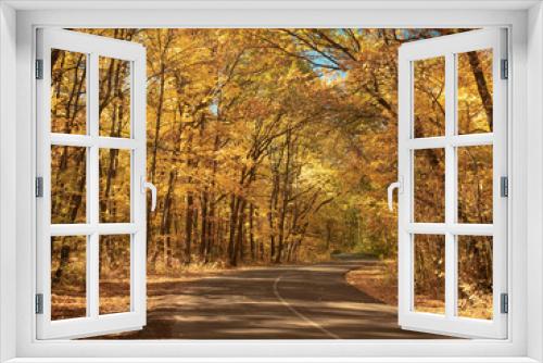 Fototapeta Naklejka Na Ścianę Okno 3D - Windy asphalt road in forest. Nature landscape. Autumn forest in October. Trees with yellow leaves make an arch above the road. Fallen leaves on the ground. Blurred background. Selective soft focus
