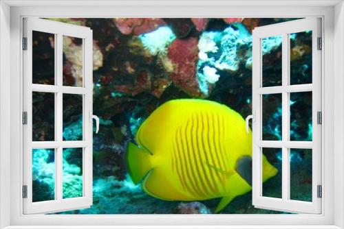 Fototapeta Naklejka Na Ścianę Okno 3D - Underwater world in deep water in coral reef and plants flowers flora in blue world marine wildlife, travel nature beauty exploration in diving trip, dive. Fish, corals and sea creatures