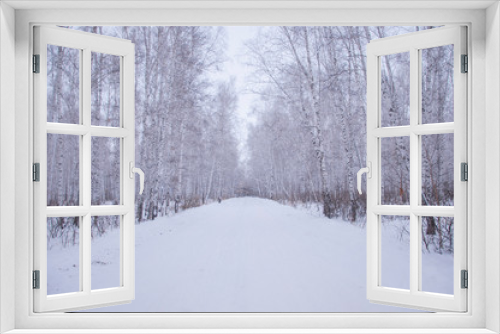 Fototapeta Naklejka Na Ścianę Okno 3D - winter walk through the beautiful birch grove
