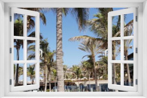 Fototapeta Naklejka Na Ścianę Okno 3D - Palmen an der Promenade von Meloneras - Gran Canaria III
