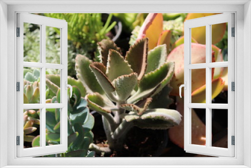 Fototapeta Naklejka Na Ścianę Okno 3D - Naturaleza