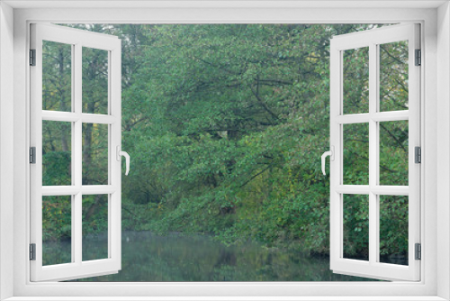 Fototapeta Naklejka Na Ścianę Okno 3D - Wald am Wasser
