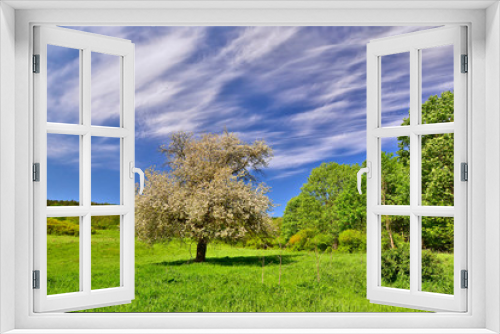 Fototapeta Naklejka Na Ścianę Okno 3D - Spring sunny day in the Low Beskids, (Beskid Niski), Poland