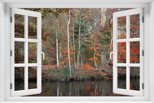 Fototapeta Naklejka Na Ścianę Okno 3D - Autumn in the country seat of the Netherlands