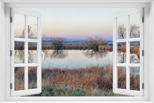 Fototapeta Naklejka Na Ścianę Okno 3D - Views of Josh’s Pond walking path, Reflecting Sunset in Broomfield Colorado surrounded by Cattails, plains and Rocky mountain landscape during sunset. United States.