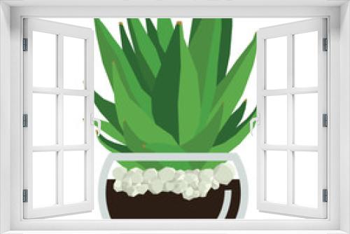 Fototapeta Naklejka Na Ścianę Okno 3D - Succulent plant in glass pot Vector illustration Isolated object