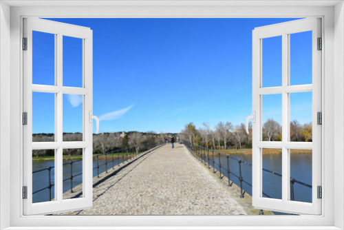 Fototapeta Naklejka Na Ścianę Okno 3D - Pont Saint-Bénézet Avignon