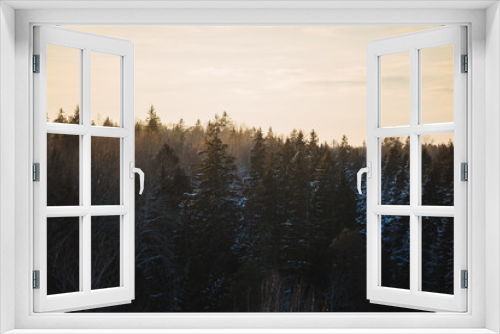 Fototapeta Naklejka Na Ścianę Okno 3D - Moody  and snowy pine forest in winter sunset