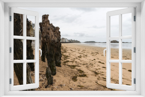 Fototapeta Naklejka Na Ścianę Okno 3D - Old weathered tree trunks on the beach of Saint Malo