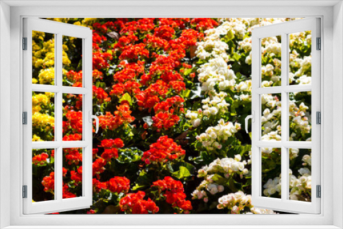 Fototapeta Naklejka Na Ścianę Okno 3D - Beautiful garden of colorful flowers