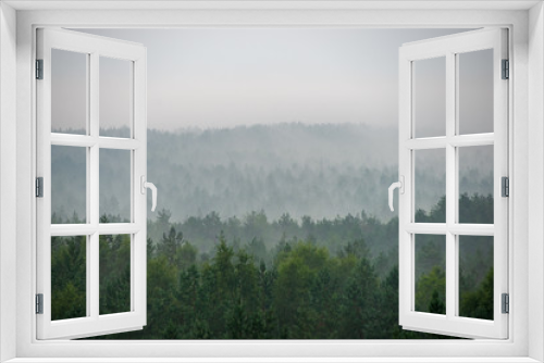 Fototapeta Naklejka Na Ścianę Okno 3D - misty forest in foggy morning. far horizon