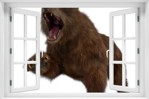 Fototapeta Naklejka Na Ścianę Okno 3D - brown bear in a white background