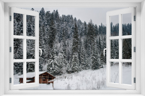 Fototapeta Naklejka Na Ścianę Okno 3D - house in winter forest