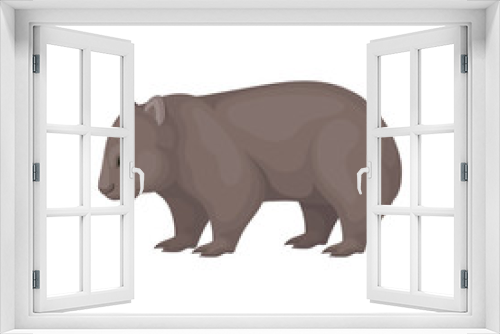 Fototapeta Naklejka Na Ścianę Okno 3D - Detailed flat vector icon of wombat, side view. Australian marsupial animal with brown coat and short legs