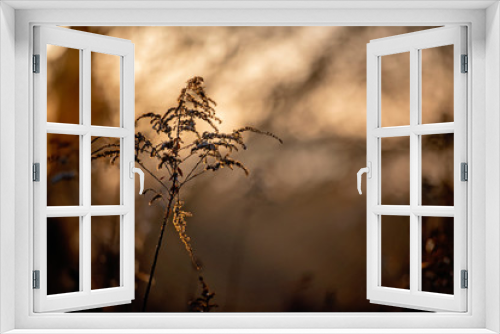 Fototapeta Naklejka Na Ścianę Okno 3D - Wschód słońca