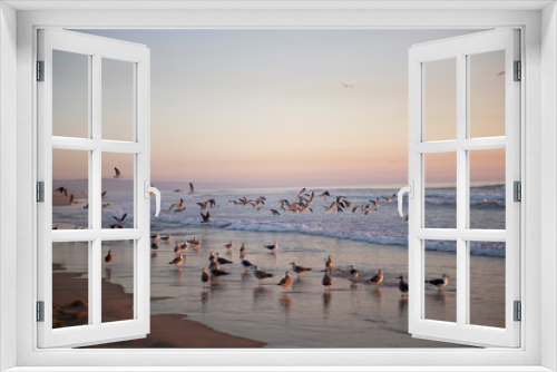 Fototapeta Naklejka Na Ścianę Okno 3D - чайки