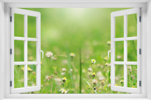 Fototapeta Naklejka Na Ścianę Okno 3D - Background of beautiful weeds