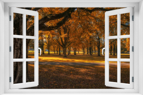 Fototapeta Naklejka Na Ścianę Okno 3D - Autumn mood, parkland of city