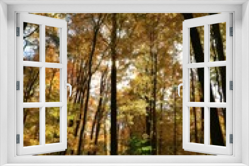 Fototapeta Naklejka Na Ścianę Okno 3D - Landscape of trees with autumn colors