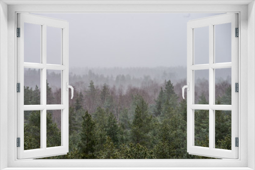Fototapeta Naklejka Na Ścianę Okno 3D - misty forest in winter. far horizon