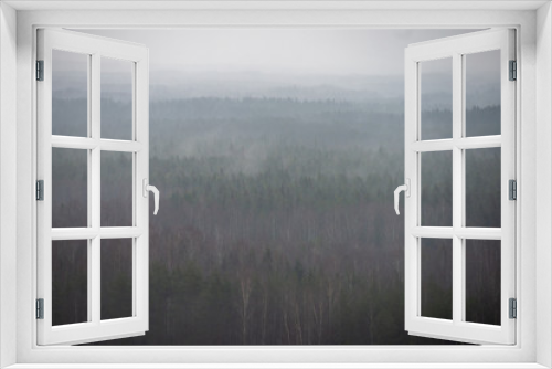 Fototapeta Naklejka Na Ścianę Okno 3D - misty forest in winter. far horizon