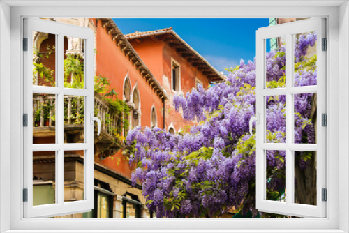Fototapeta Naklejka Na Ścianę Okno 3D - Venetian wistaria
