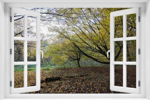 Fototapeta Naklejka Na Ścianę Okno 3D - Herbst am Meschesee bei Detmold