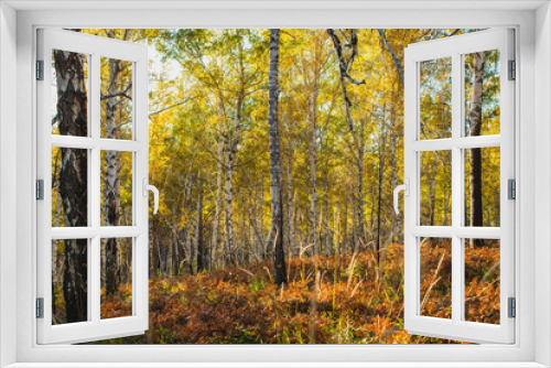 Fototapeta Naklejka Na Ścianę Okno 3D - in the golden woods in autumn in Siberia