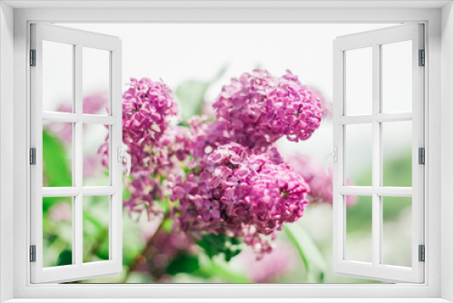 Fototapeta Naklejka Na Ścianę Okno 3D - Lilac, Mother's Day, Valentine's Day, International Women's Day