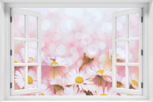 Fototapeta Naklejka Na Ścianę Okno 3D - White daisies spring background