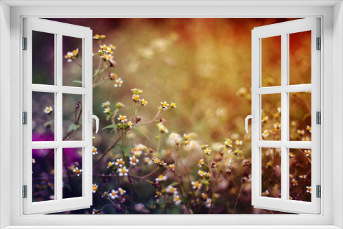 Fototapeta Naklejka Na Ścianę Okno 3D - Hintergrundbild Blumen 