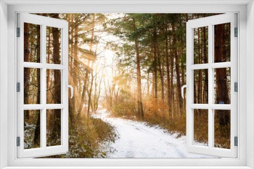 Fototapeta Naklejka Na Ścianę Okno 3D - Road in winter forest and bright sunbeams