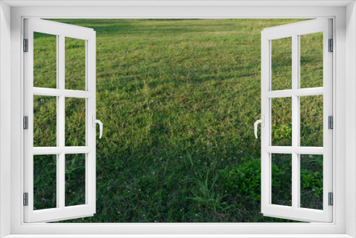 Fototapeta Naklejka Na Ścianę Okno 3D - green land grass field