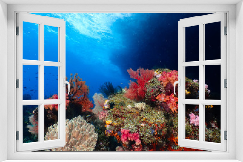 Fototapeta Naklejka Na Ścianę Okno 3D - Berautifull multicolor reef