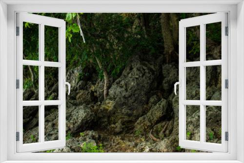 Fototapeta Naklejka Na Ścianę Okno 3D - fairy forest, roots on the stone