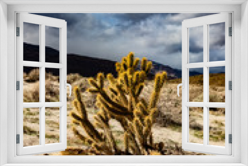 Fototapeta Naklejka Na Ścianę Okno 3D - Rainy Day In The Desert 