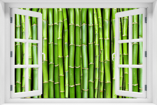 Fototapeta Naklejka Na Ścianę Okno 3D - bamboo