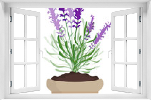 Fototapeta Naklejka Na Ścianę Okno 3D - Lavender plant 