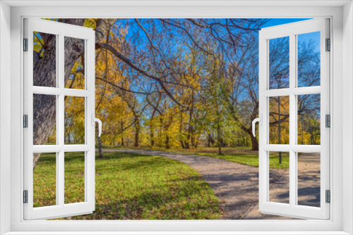 Fototapeta Naklejka Na Ścianę Okno 3D - Beautiful sunny autumn