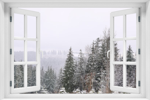 Fototapeta Naklejka Na Ścianę Okno 3D - Beautiful view of conifer forest on snowy winter day