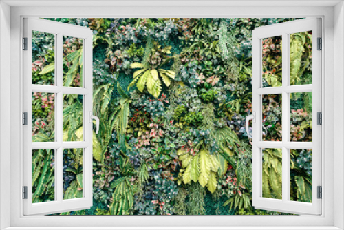 Fototapeta Naklejka Na Ścianę Okno 3D - Variety of green leaves with plants decorative on wall