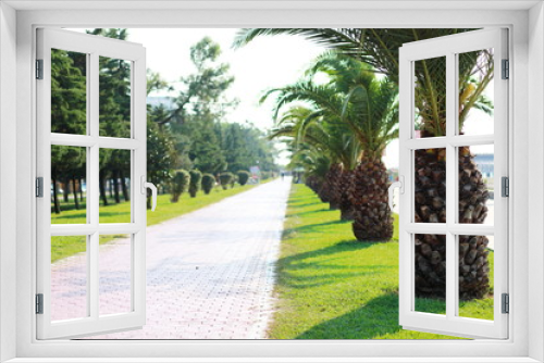 Fototapeta Naklejka Na Ścianę Okno 3D - The road among palms