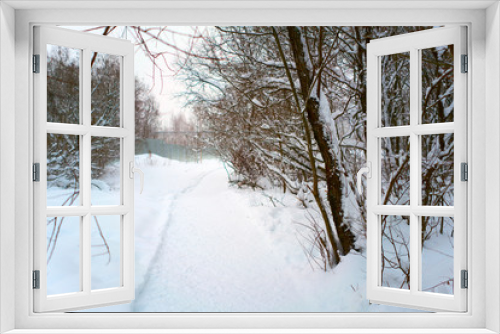 Fototapeta Naklejka Na Ścianę Okno 3D - winter forest in the snow. path for a walk.