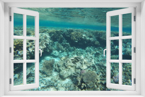Fototapeta Naklejka Na Ścianę Okno 3D - Underwater survey, red sea, Underwater light