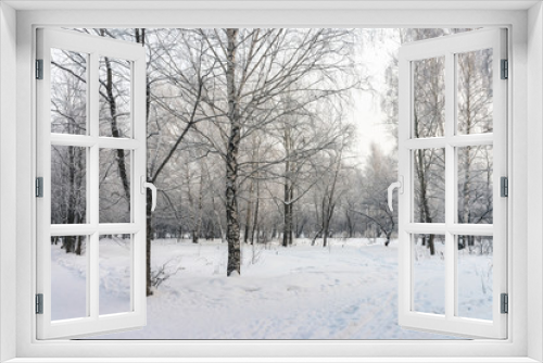 Fototapeta Naklejka Na Ścianę Okno 3D - Snowy tunnel among tree branches in parkland close up. Snowy white background with alley in grove. Path among winter trees with hoarfrost during snowfall. Fall of snow. Atmospheric winter landscape.