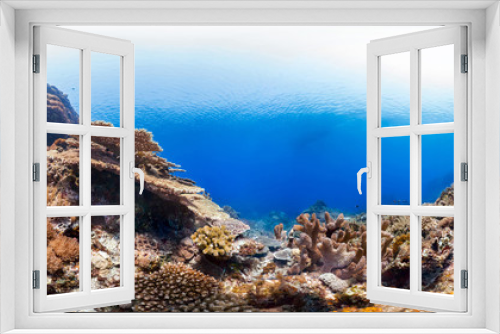 Fototapeta Naklejka Na Ścianę Okno 3D - Healthy coral reef panorama