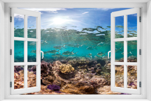 Fototapeta Naklejka Na Ścianę Okno 3D - Healthy coral reef and school of fish in Palmyra panorama